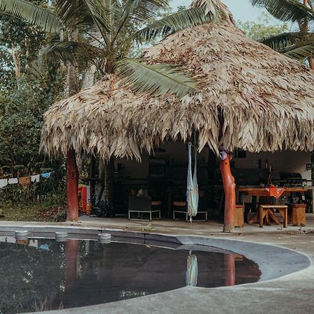Casa De Los Amigos Caribena Cahuita Kültér fotó
