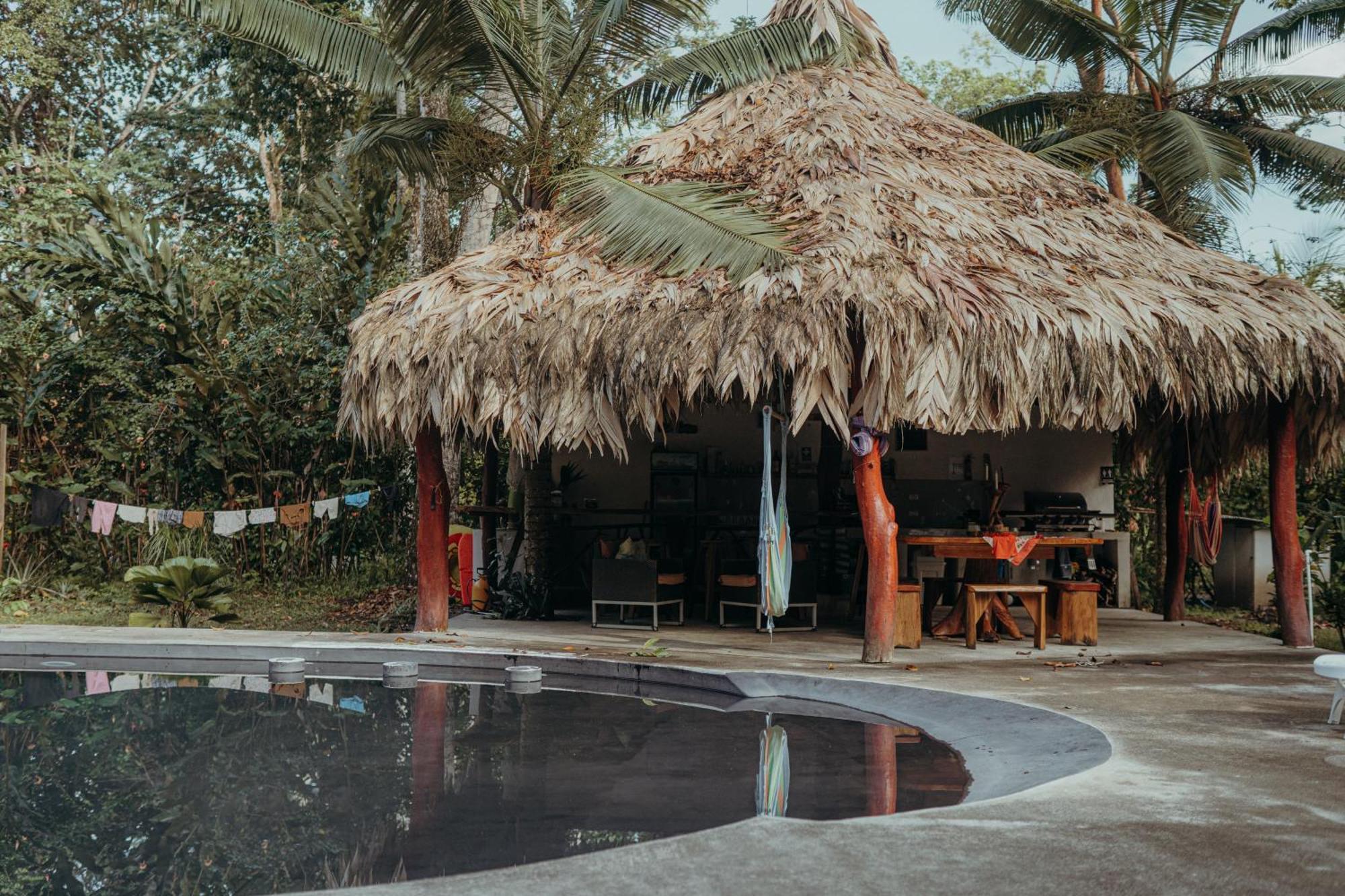 Casa De Los Amigos Caribena Cahuita Kültér fotó