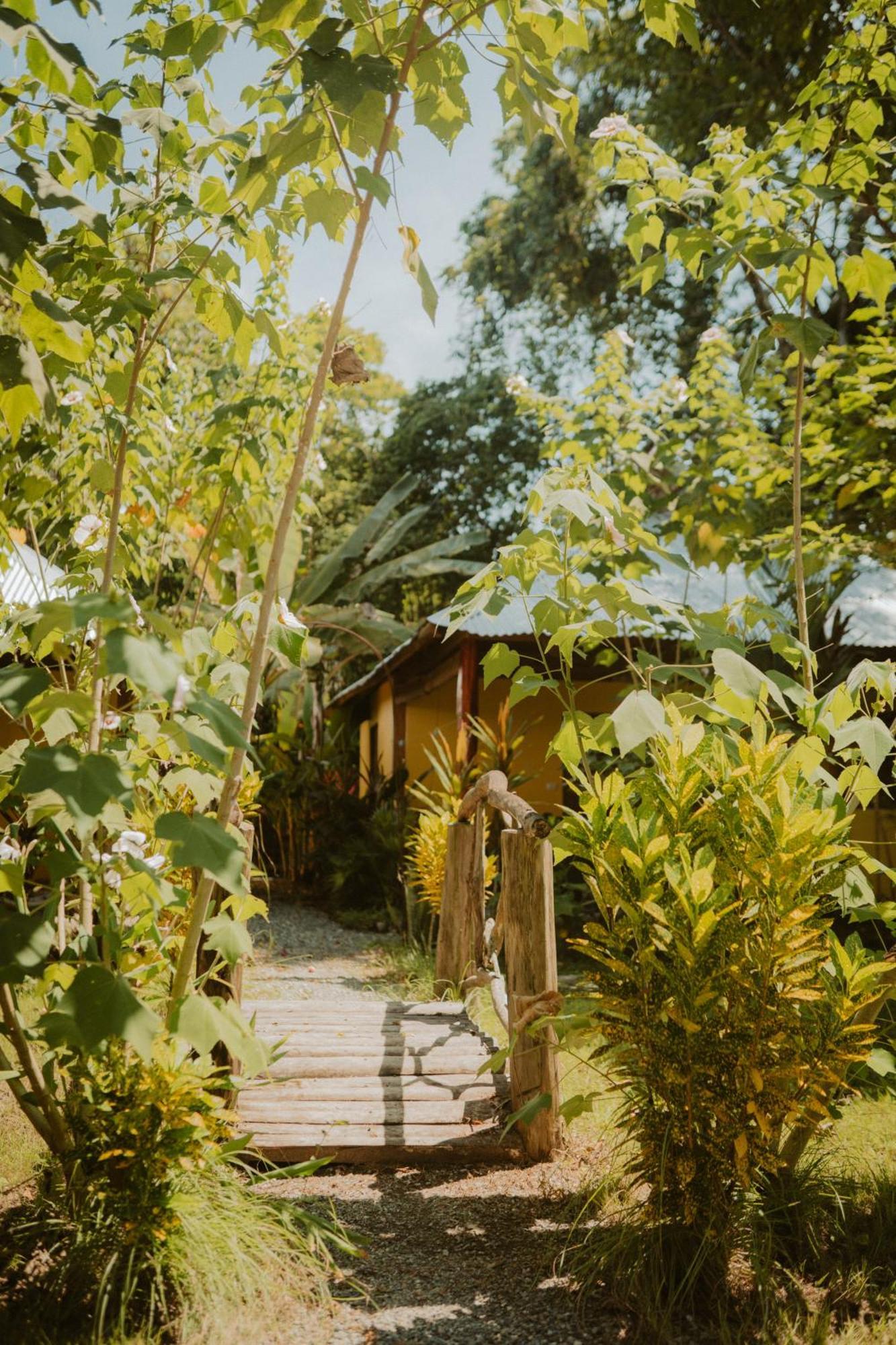 Casa De Los Amigos Caribena Cahuita Kültér fotó